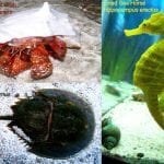 article image -